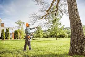 Best Hazardous Tree Removal  in Center Point, AL