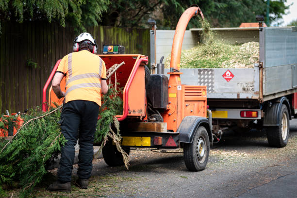 Best Commercial Tree Services  in Center Point, AL